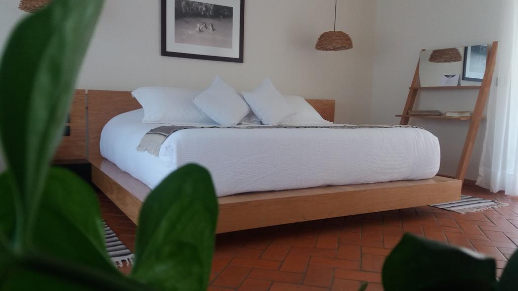 טפוזטלן Hotel Boutique Casa Fernanda (Adults Only) מראה חיצוני תמונה